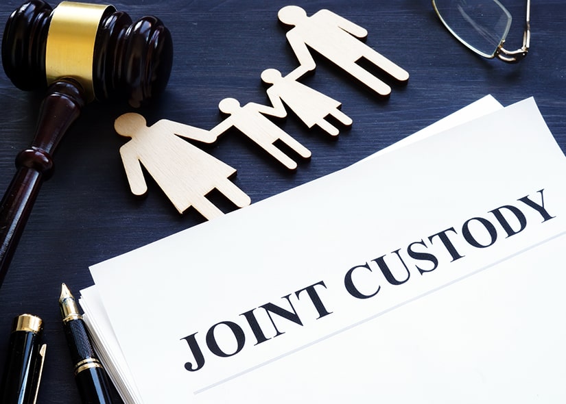 Different Types Of Joint Custody